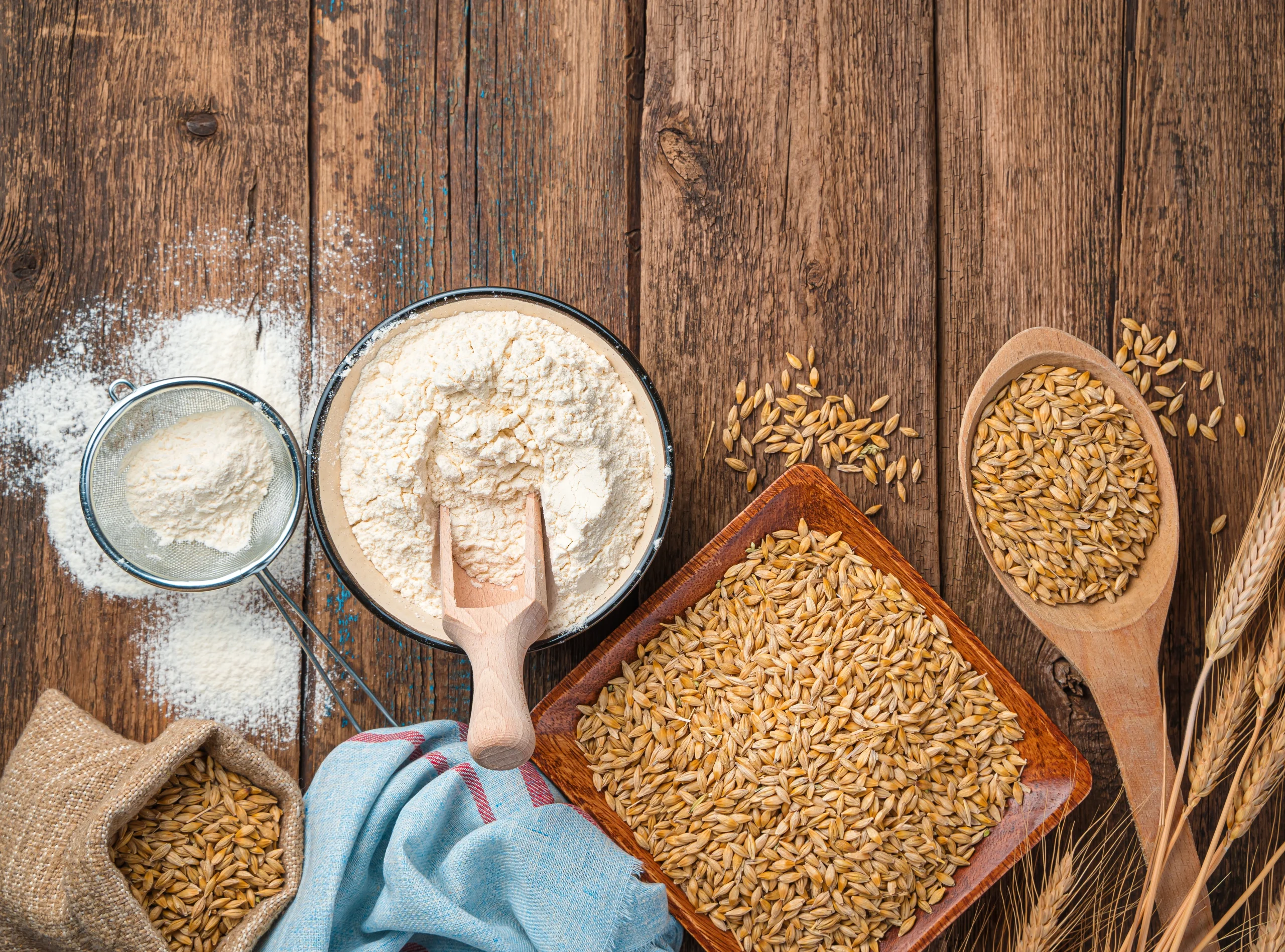 is bread flour better for sourdough